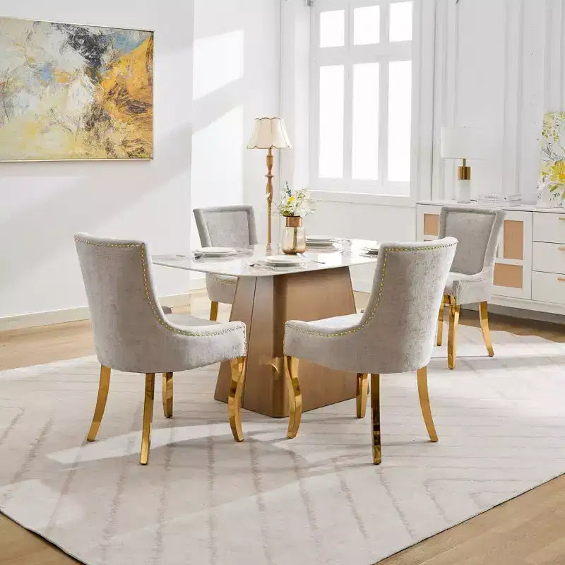 Chaise de salle à manger moderne en chenille, chaise de cuisine domestique