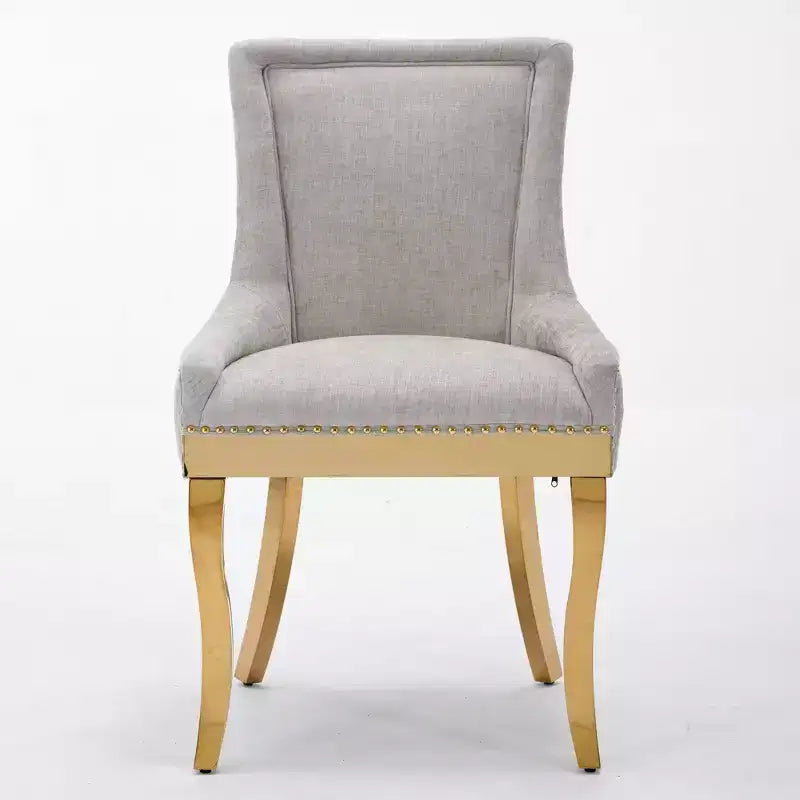 Chaise de salle à manger moderne en chenille, chaise de cuisine domestique